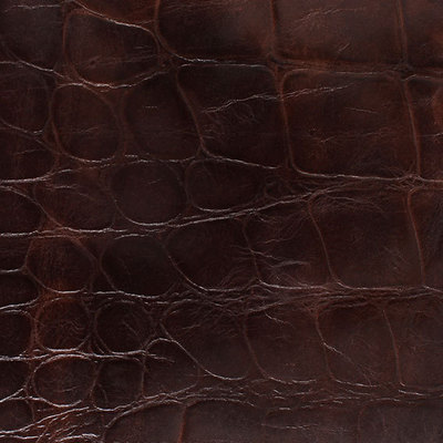 拉美鳄鱼皮革制品 应用与广州高科进出口贸易概览