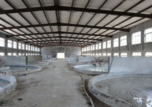 学洋明胶蛋白厂浸泡车间 皮革制品处理的工业现场剖析